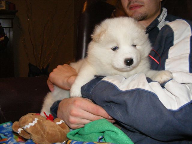 CLICK here to see seven weeks pics